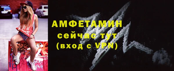 spice Богородск