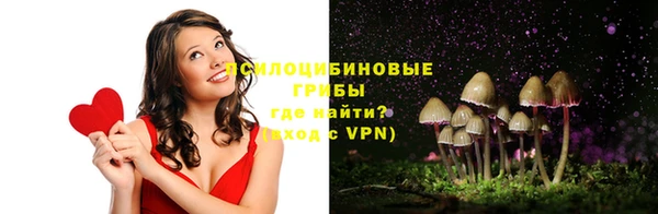 стафф Богданович