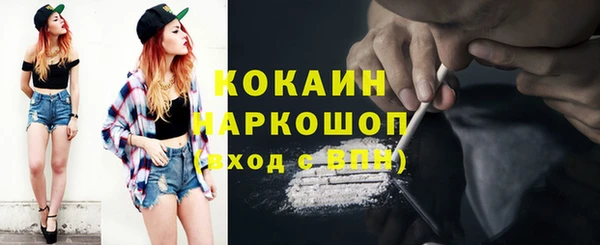 стафф Богданович