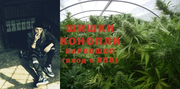 стафф Богданович