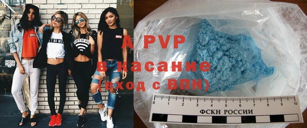 стафф Богданович