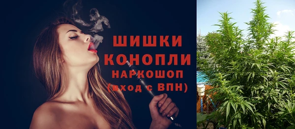 spice Богородск