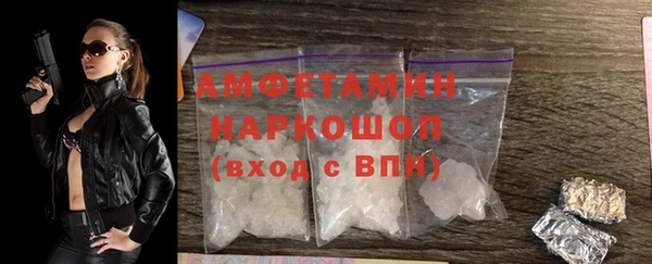 spice Богородск