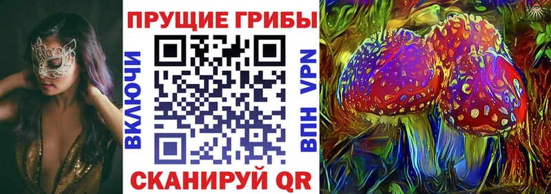 это официальный сайт Мариинский Посад Галлюциногенные грибы Psilocybine cubensis